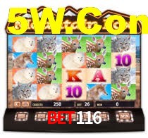 Bet116,Bet116.Com